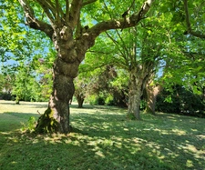 Maison à vendre 6 pièces POURSIUGUES BOUCOUE (64)