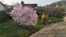 Montmorot – Grande maison de 198 m², 5 chambres sur 1 946 m² de terrain