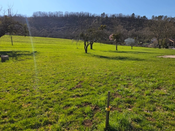 Terrain à vendre de 543,00 m² Messia-sur-Sorne (39)
