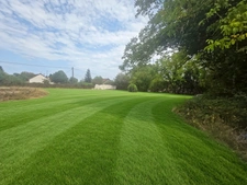 Terrain à vendre de 1 200,00 m² VERS SOUS SELLIERES (39)