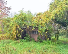 Maison à rénover – 3 chambres – Terrain 755 m² – PUYBRUN (46)