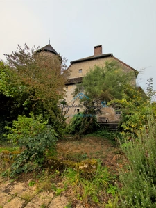 ARLAY – DEMEURE EN PIERRE DU XVIe SIÈCLE, TOUR ET CAVE VOÛTÉE