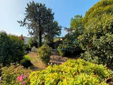 Maison jumelée avec jardin arboré, mezzanine et grand garage ».