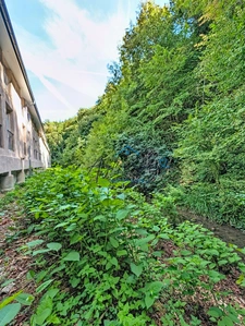 COUP DE CŒUR – DUPLEX RÉNOVÉ 97 M², 3 CHAMBRES, AU CALME FACE À LA NATURE SAINT GENIX SUR GUIERS (73)