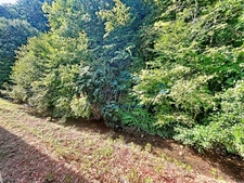 COUP DE CŒUR – DUPLEX RÉNOVÉ 97 M², 3 CHAMBRES, AU CALME FACE À LA NATURE SAINT GENIX SUR GUIERS (73)