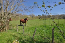 Maison à vendre 11 pièces proche de LOUHANS (71)
