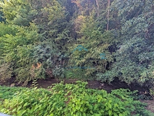 COUP DE CŒUR – DUPLEX RÉNOVÉ 97 M², 3 CHAMBRES, AU CALME FACE À LA NATURE SAINT GENIX SUR GUIERS (73)