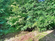 COUP DE CŒUR – DUPLEX RÉNOVÉ 97 M², 3 CHAMBRES, AU CALME FACE À LA NATURE SAINT GENIX SUR GUIERS (73)