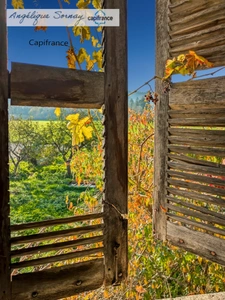 House to be completely renovated SAINT JULIEN (39)