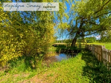  Long farmhouse with outbuildings on 3,115 m² – Francheville 39230