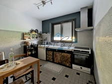 Semi-detached house with landscaped garden, mezzanine and large garage. VAULX EN VELIN
