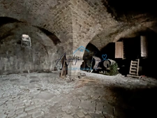 ARLAY – DEMEURE EN PIERRE DU XVIe SIÈCLE, TOUR ET CAVE VOÛTÉE