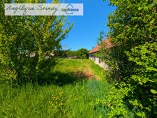  Long farmhouse with outbuildings on 3,115 m² – Francheville 39230