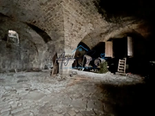 ARLAY – DEMEURE EN PIERRE DU XVIe SIÈCLE, TOUR ET CAVE VOÛTÉE