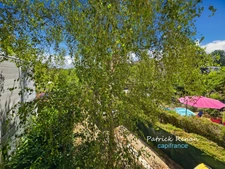 Maison à vendre 6 pièces P6 GUYANCOURT (78)
