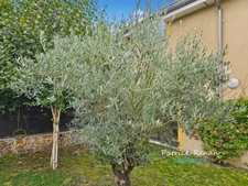Maison à vendre 6 pièces, P6, JOUARS PONTCHARTRAIN (78)