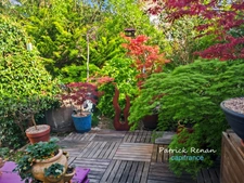 Maison à vendre 7 pièces P7 SAINT CYR L'ECOLE (78)