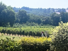 RISCLE et AIRE SUR L ADOUR proche, en COTEAUX, VUE DOMINANTE, sans voisin, PROPRIETE XIXs  cosy, sur 1 ha, sans travaux