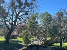 MARCIAC et PLAISANCE proches, VUE PYRENEES depuis cette BELLE MAISON DE FAMILLE 215m2, grandes dépendances , sur 1750m2 de jardin, dans village patrimonial.