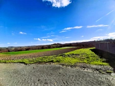 Ancienne ferme de 1796 sur 3,7 Hectares, dépendances, vue sur les Pyrénées.