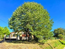 🏡 À VENDRE  Maison 3 chambres avec garage de 50 m² et terrain de 2 500 m² à Vergoignan