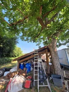 🏡 Maison en pierre à rénover – Fort potentiel à Plaisance-du-Gers – Terrain 1 569 m² – Dépendances & véranda