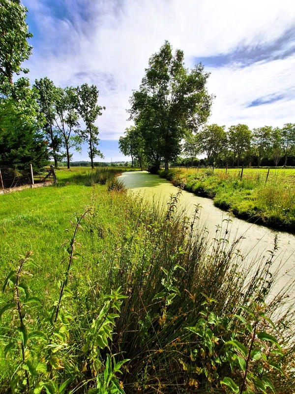 Corps de ferme à aménager avec dépendances et plus de 7 000 m² de terrain  Plaisance-du-Gers 