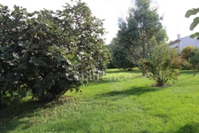 Terrain à vendre  CASTAGNAC (31)