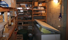 Attractive 117 m² villa with great potential and a beautiful wooded plot in CURCIAT DONGALON (01)