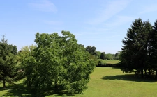 ROMENAY, joli villa avec véranda sur 3800 m² de terrain