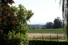 SAINT-BÉNIGNE – Beautiful villa of 155 m² – View of the Mâconnais mountains – Enclosed plot of 1837 m²