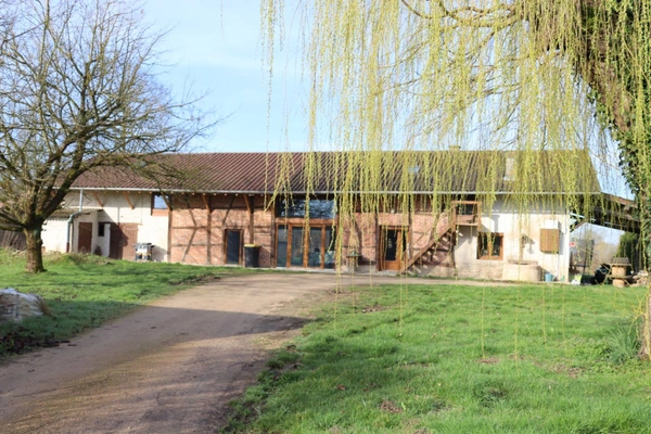 Belle ferme de 216 m² sur plus de 3000 m² de terrain SAINT JEAN SUR REYSSOUZE (01)