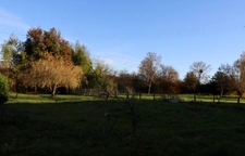 Fermette rénovée en partie située proche du centre de ROMENAY (71)