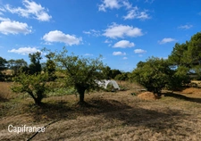 TRÉAL – Maison en pierre rénovée en 2022 sur 8 300 m² avec 2 hangars