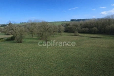 Maison mitoyenne en pierres à rénover avec 2 hectares de terrain plat à Carentoir – Idéal chevaux et projets nature.”