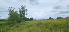 Dpt LANDES (40), à vendre à POUDENX, Maison + grange anciennes à rénover sur 1,7 hectare de terrain, au calme