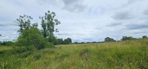 Dpt LANDES (40), à vendre à POUDENX, Maison + grange anciennes à rénover sur 1,7 hectare de terrain, au calme