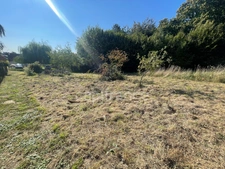 Terrain à vendre de 1250 M2   (02)