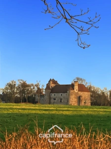 Château à vendre au coeur du bocage bourbonnais sur un parc de 1,5 Ha                                  
