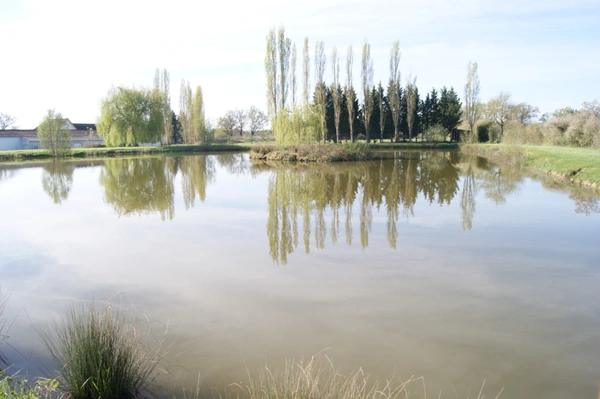Etang de 4300 m2  à vendre  DOMERAT (03) sur terrain de 18627 m2