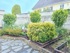 PAVILLON INDIVIDUEL SUR SOUS-SOL COMPLET à INCHEVILLE (76)