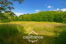House for sale 13 rooms near LONS LE SAUNIER (39)