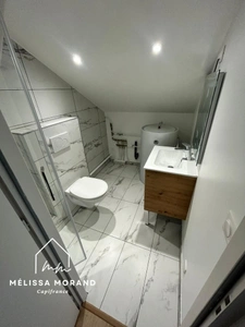 Appartement T5 duplex à vendre 5 pièces SCIEZ (74), entièrement rénové, hyper centre