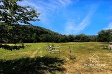 Maison d'habitation rénovée à vendre 7 pièces THUSY (74), terrain de 1ha 40a 83ca
