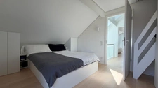 Maison à vendre 7 pièces PREVESSIN MOENS (01) Une maison pensée pour vivre dedans… comme dehors