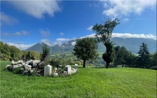 Property for sale 8 rooms (01200) Renovated 19th century farmhouse, 1.2 hectares of nature and breathtaking panoramic view! 