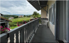 Maison à vendre 9 pièces CHALLEX (01) Deux univers, une même propriété