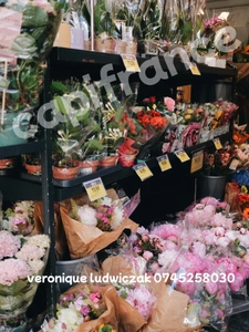 Fonds de commerce à vendre MONTIGNY EN OSTREVENT (59)