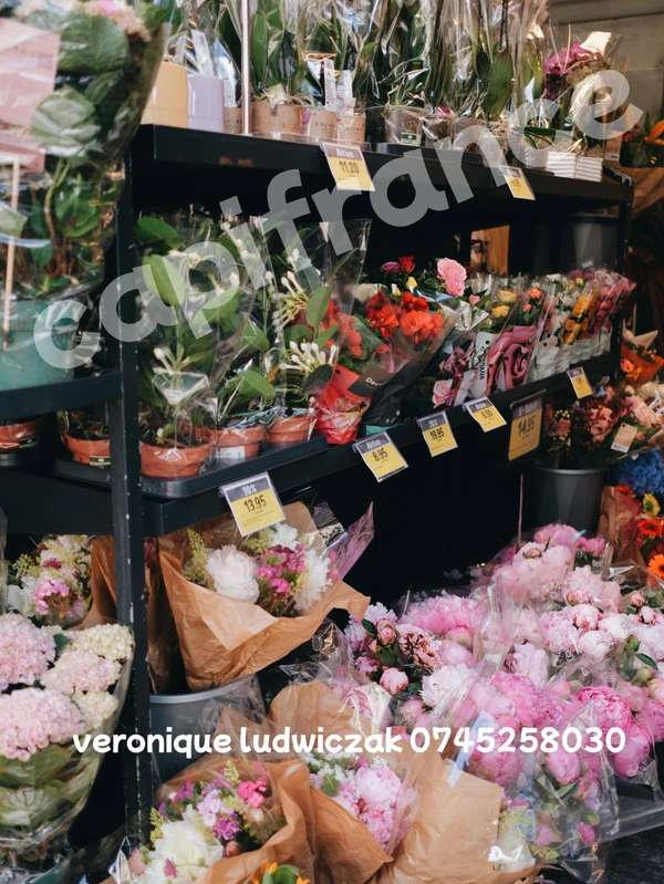 Fonds de commerce à vendre MONTIGNY EN OSTREVENT (59)