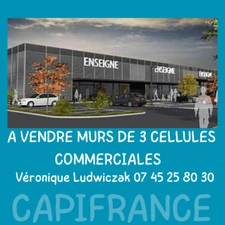 Immeuble à vendre MONTIGNY EN OSTREVENT (59)